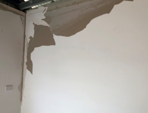 Damaged Plasterboard